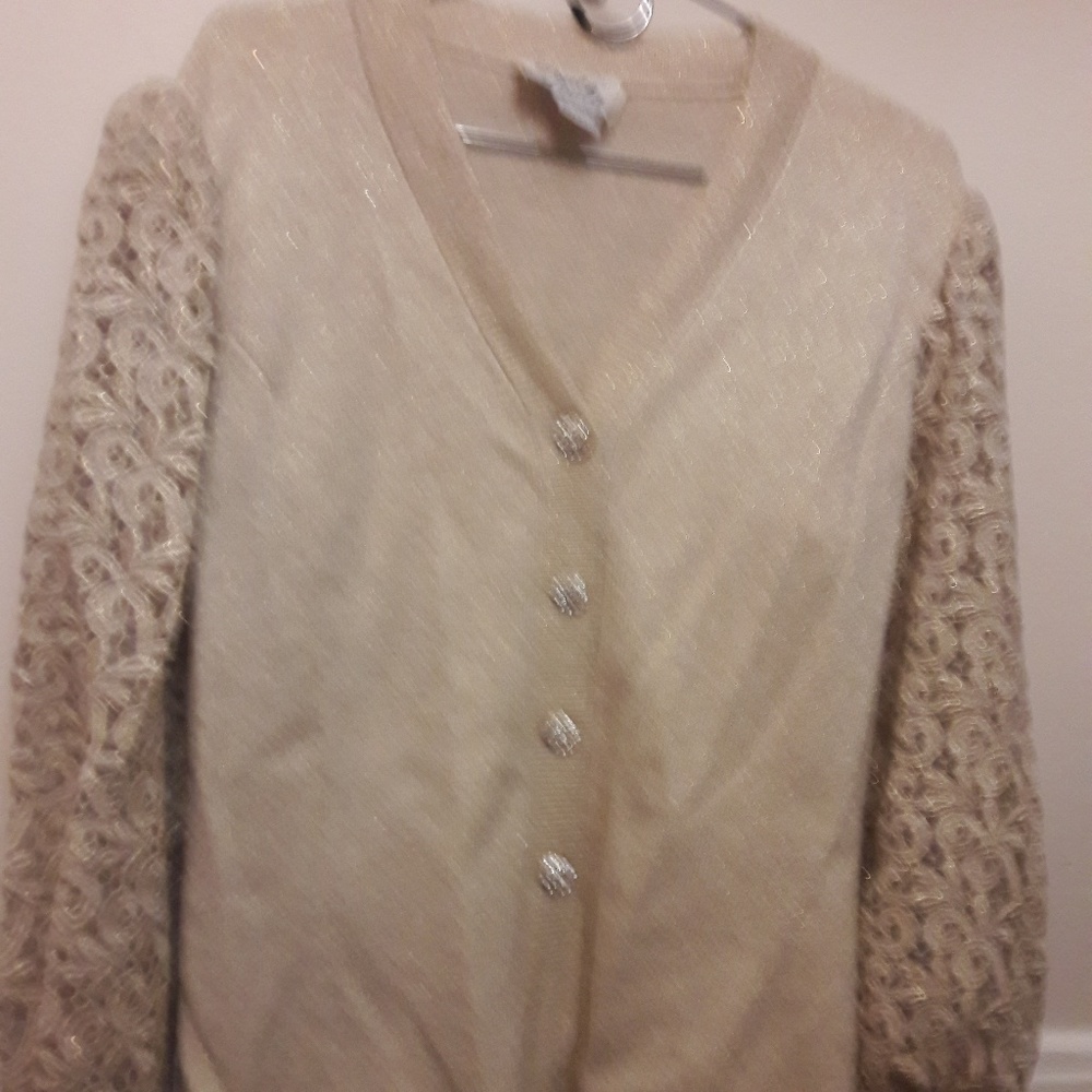 Metallic cream sweater with lace sleeves